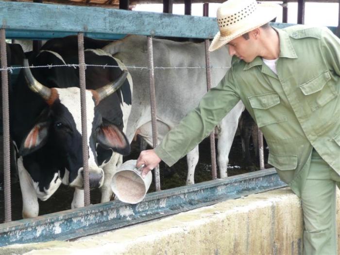 El proyecto Prodegan beneficia a cerca de 10 000 productores en Camagüey. Foto: Freddy Pérez Cabrera