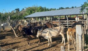 La visita a cada propietario de tierra no tiene antecedentes en el territorio. (Foto: Andy González/Facebook). La visita a cada propietario de tierra no tiene antecedentes en el territorio. (Foto: Andy González/Facebook).