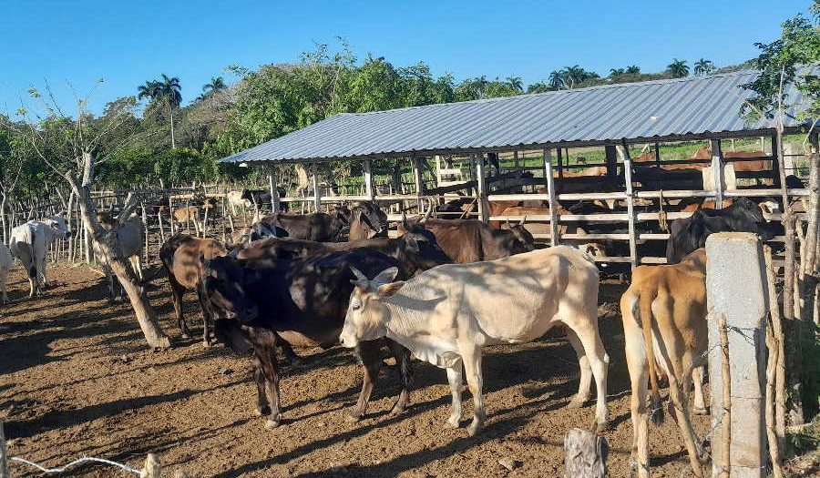 La visita a cada propietario de tierra no tiene antecedentes en el territorio. (Foto: Andy González/Facebook).