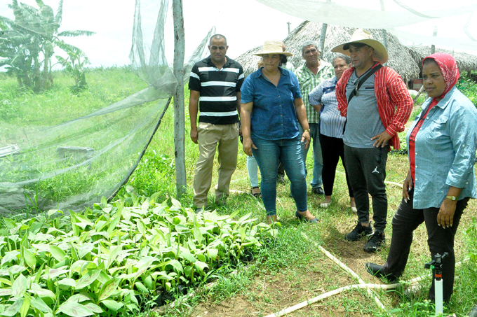 Las máximas autoridades del Partido y del Gobierno intercambian con el productor Frank Verdecia Sánchez, en su finca La Reyna/Foto:Agustín Rodríguez Sam