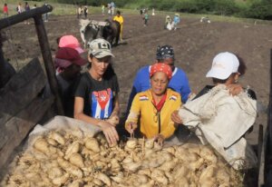 La participación femenina en el campo se abre espacio. La participación femenina en el campo se abre espacio.