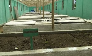 En las Casas de Cultivos Protegidos de Batey Colorado se produce humus y lixiviado de lombriz. En las Casas de Cultivos Protegidos de Batey Colorado se produce humus y lixiviado de lombriz.