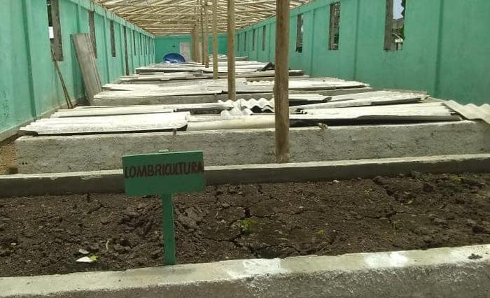En las Casas de Cultivos Protegidos de Batey Colorado se produce humus y lixiviado de lombriz.