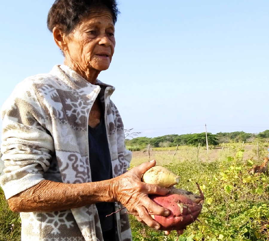 Compartir la cocina con la cosecha y la crianza de sus hijos ha sido un capítulo esencial en su vida campesina.