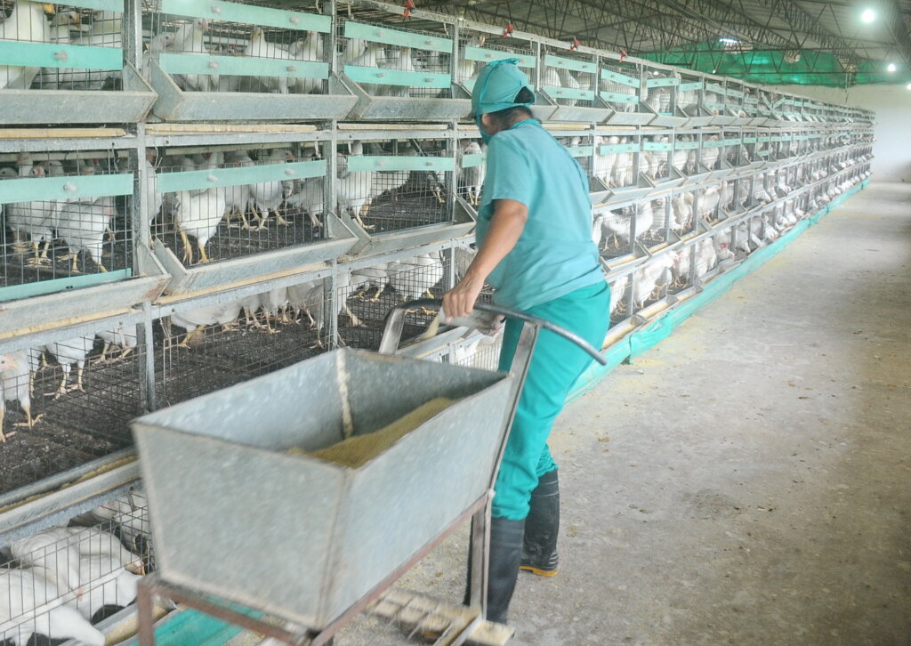 Foto: Yoandris delgado Matos.
