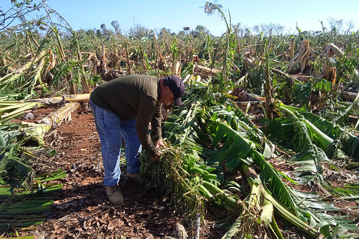 0 10 empresa agropecuaria alquizar