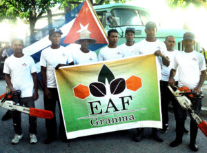 contingente contingente
