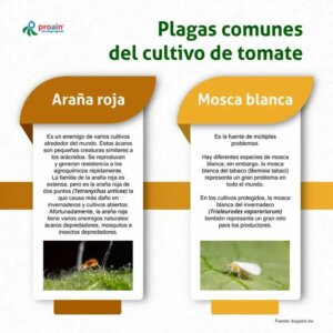Cultiva 9 2 dic 1 Cultiva 9 2 dic 1