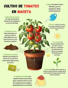 Cultiva 9 2 dic 2 Cultiva 9 2 dic 2