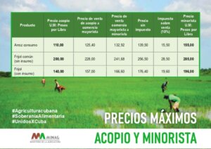 01 005 Infografias Minag 2025 page 0001 1