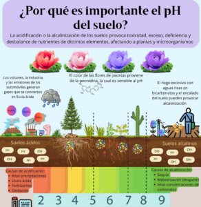 Cultiva Adecuarse al Ph . 3 1