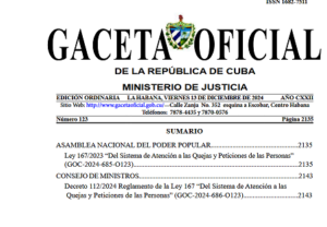 Screenshot 2024 12 18 at 09 37 12 GACETA OFICIAL.pdf 1