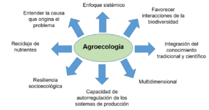 Figura 1. Principios agroecológicos a considerar para el diseño y manejo de fincas