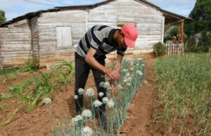 Hace mas de una decada que Roberto llego a la comunidad de Pozo Colorado.