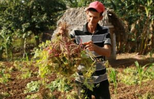 Ni las malas hierbas ni los espacios vacios dan de comer. sentencia Roberto.