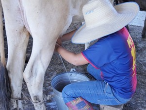 Ganadería 1