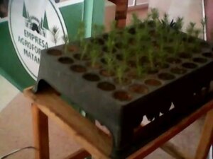 Ciencia surco 3