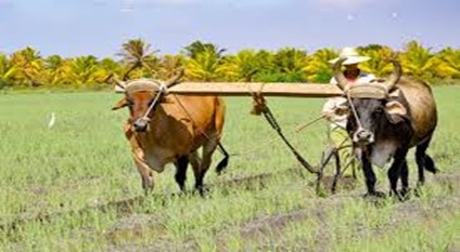 AgriBloq