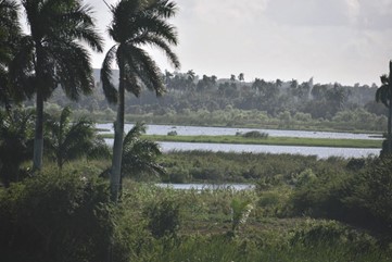 ViejMA