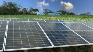 Solar