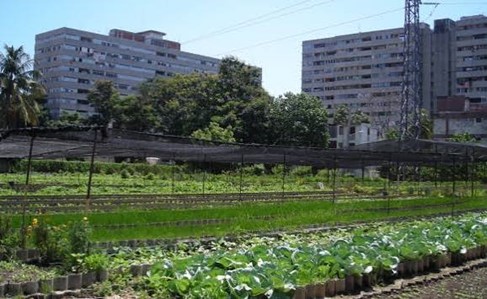 agriurb