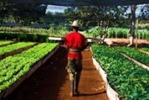 tecnoagri