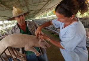 produciremos